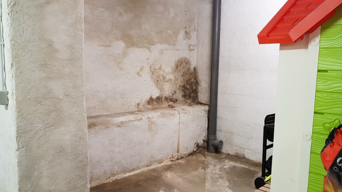 Infiltrations d'eau - Expertise humidité à Saint-Brieuc